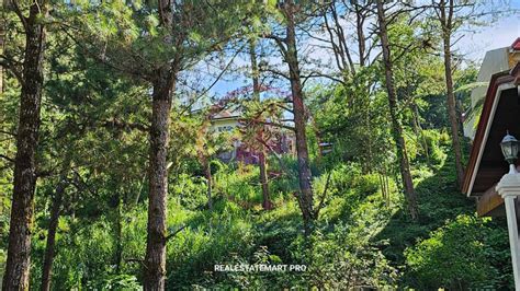 Suello village baguio city Properties .